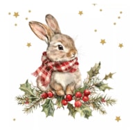 SET 20 NAPKIN 33x33CM RABBIT 303777