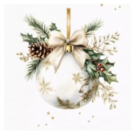 SET 20 NAPKIN 33x33CM CHRISTMAS 303684