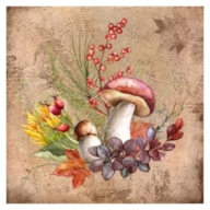 PAQUETE 20 SERVILLETAS 33x33CM OTONO 342117