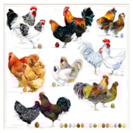 PAQUETE 20 SERVILLETAS 33x33CM GALLINAS 389217