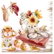 PAQUETE 20 SERVILLETAS 33x33CM BUHOS 343175