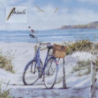 PAQUETE 20 SERVILLETAS 33X33CM BIKE AT THE BEACH