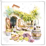 PAQUETE 20 SERVILLETAS 33x33CM CASA RURAL 344666