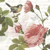 PAQUETE 20 SERVILLETAS 33X33CM SOPHIE