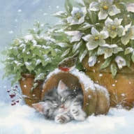 PAQUETE 20 SERVILLETAS 33X33CM KITTEN SLEEPING IN PLANT POT