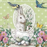 PAQUETE 20 SERVILLETAS 33X33CM RABBIT GREEN