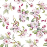 PAQUETE 20 SERVILLETAS 33X33CM SPRING BLOSSOM WHITE