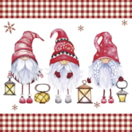 PAQUETE 20 SERVILLETAS 33x33CM GNOMOS 303617
