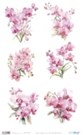 RICE PAPER 54X33CM LA VIE EN FLEURS ORCHID IX PFY-15129