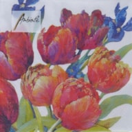EMB. 20 SERVILLETAS 33x33CM TULIPS OF JOY