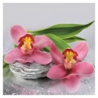 PAQUETE 20 SERVILLETAS 33x33CM ORQUIDEAS slog-039201