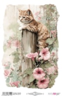 THERMO TRANSFERS 20X30CM FARM & FLOWERS CATS PFY-16119