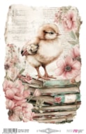 THERMO TRANSFERS 20X30CM FARM & FLOWERS CHICKS PFY-16118