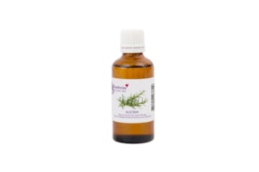 ESSENCIA 100ML ROMERO