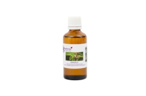 ESSENCIA 100ML SANDALO
