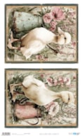 PAPEL ARROZ 54X33CM FARM & FLOWERS VII  PFY-16047
